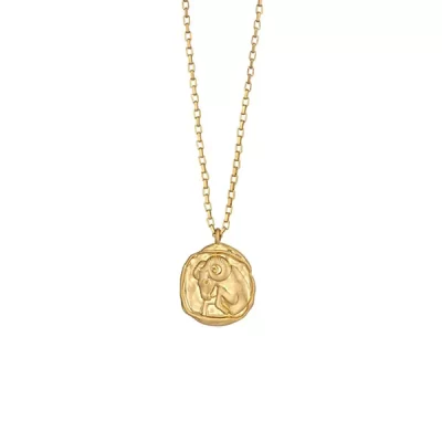 Gold Coin Zodiac Necklace