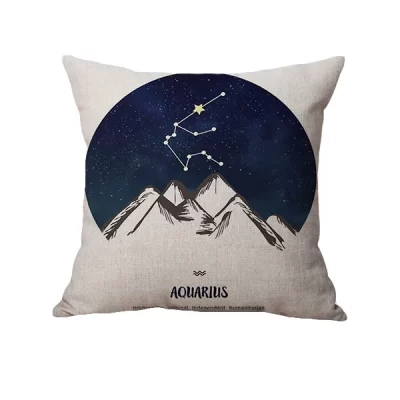 constellation throw pillow