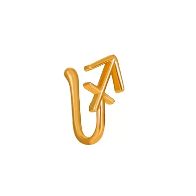 Sagittarius Nose Ring