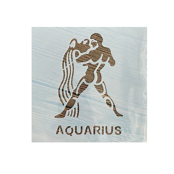 Aquarius Stencil