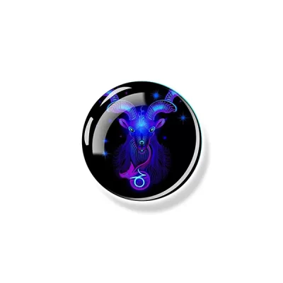 Capricorn Magnet
