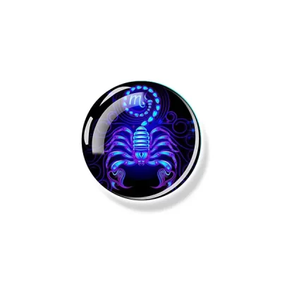 Magnet Scorpio