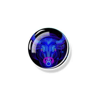 Taurus Magnet