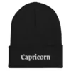 Capricorn Beanie