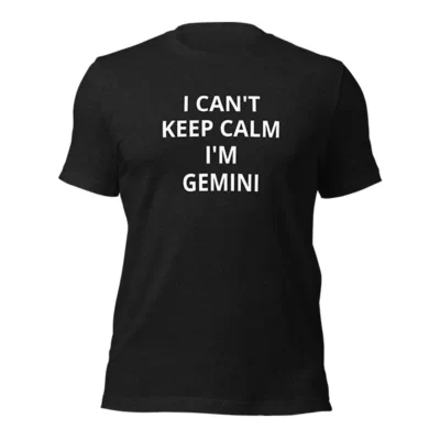 Funny Gemini Shirts